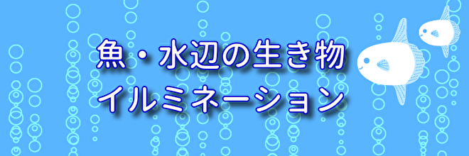 最新コレックション 魚イルミネーション