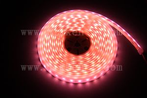 防水型LEDテープライト、SMD5050型(R3)、グリーン、300球、5m巻、白基板、シリコンチューブ、IP65、部品別売り、エンド側コード無し クリスマスデコライト | 防水型LEDテープライト、SMD5050型(R3)、RGB